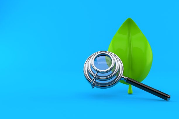 用放大镜观察树叶图片下载