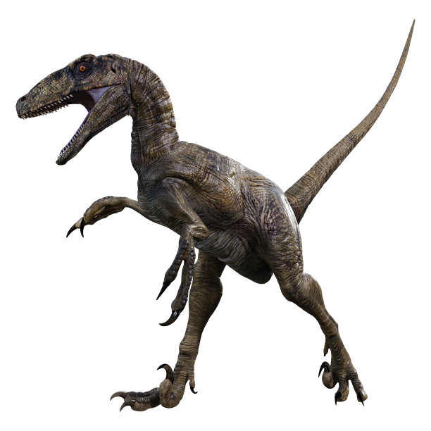 3D插图恐龙恐爪龙Antirrhopus在白色图片下载