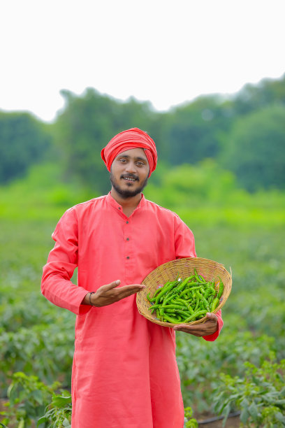 年轻的印度农民在绿色寒冷的田野里收集绿色寒冷的木碗图片下载
