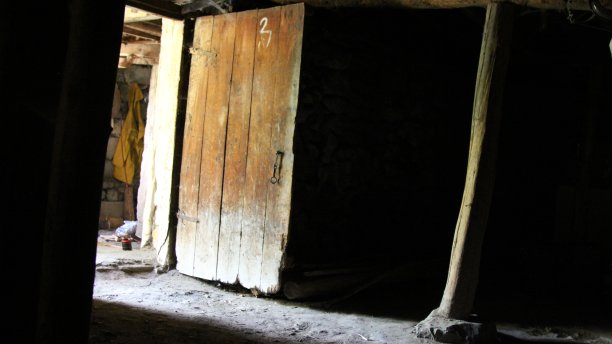 一幢百年古宅的木质地下室门。图片下载