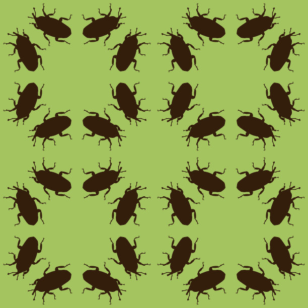 无缝模式与象鼻虫。无尽的甲虫背景。向量轮廓图。图片下载