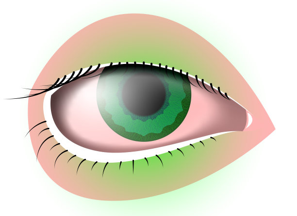 向量眼睛在梯度风格图片下载