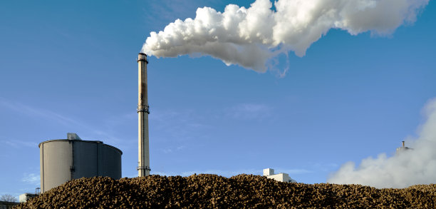 糖厂甜菜堆后面的烟囱冒着烟和蒸汽图片下载