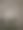 夜莺的彩色照片图片下载