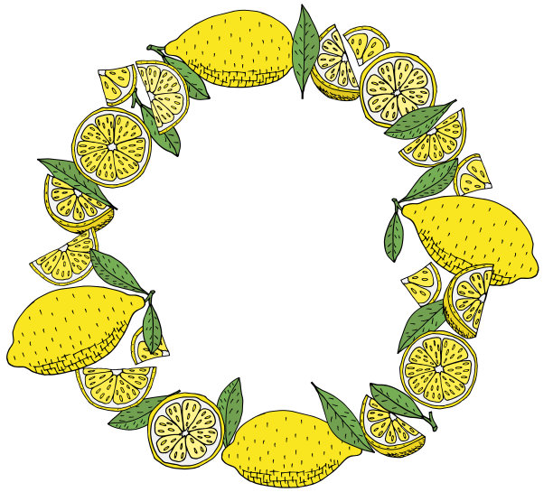 手工绘制的带有绿叶的黄色柠檬果花环，孤立的。模板，美丽的圆形框架与柑橘，与地方的文字。矢量插图。图片下载