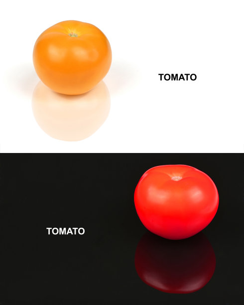 黄色番茄的创意布局。食品的概念。图片下载