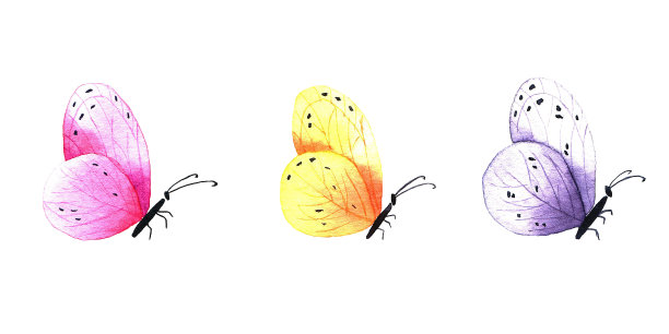 收集水彩画蝴蝶。白色背景上的孤立插图，手绘图片下载