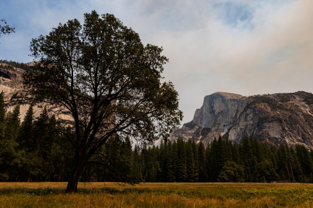美国西南部:约塞米蒂国家公园，加利福尼亚州图片下载