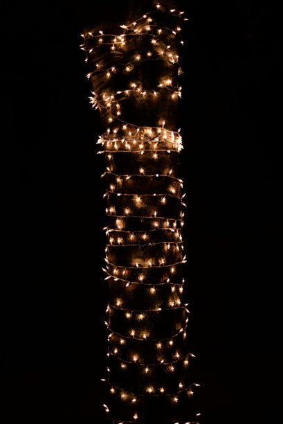 树和灯图片下载