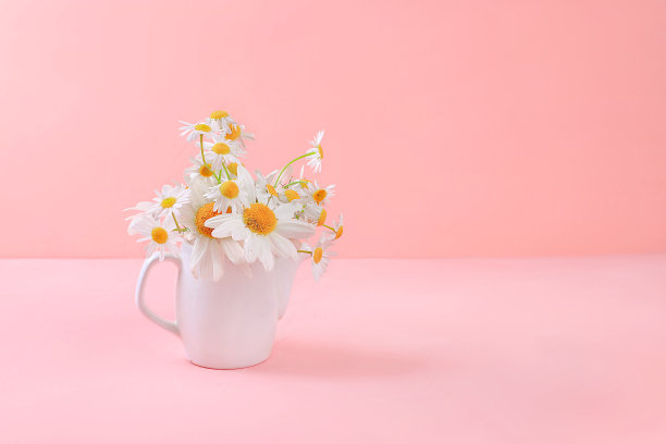 抽象的花朵组成，春天的背景，最小的节日概念，明信片。祝贺母亲节，妇女节，生日快乐，婚礼，短信地点，静物，图片下载