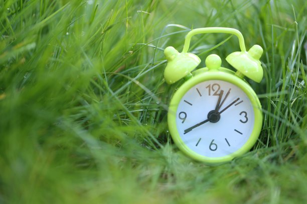 春天的时间。春天的季节。报警绿色在明亮的绿色春草背景。自然觉醒的概念。是时候开始健康的生活方式了。长寿健康理念图片下载