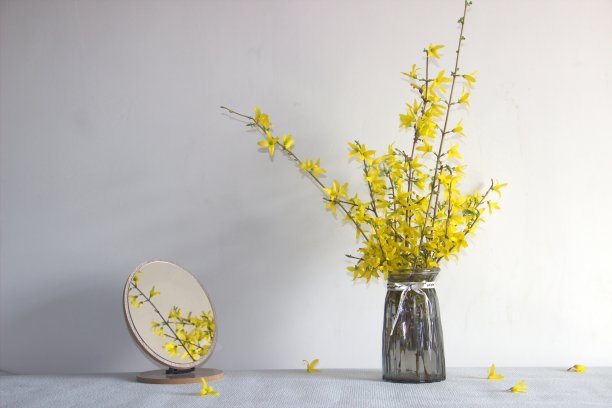 桌上有黄色连翘花束和镜子，是春季室内装饰图片下载