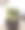 白色盘子上放韭菜和青苔图片下载