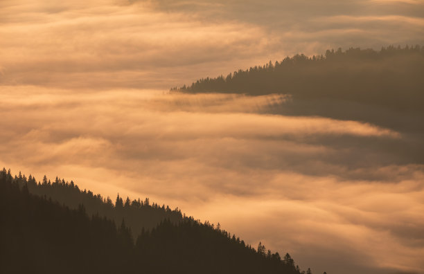 日出时，山与山之间的山谷被森林覆盖，晨雾弥漫。图片下载