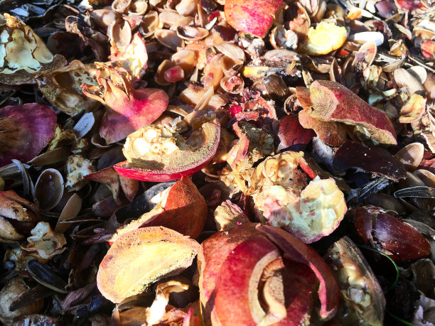 有机和健康园艺的堆肥图片下载