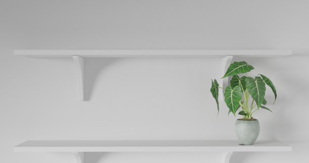 白色桌子展示和墙壁背景上的空架子的正面视图与自然窗户光线。展示的背景架显示最小的概念。树木，玻璃和咖啡杯。图片下载