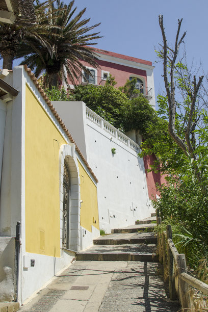 文托泰内图片下载