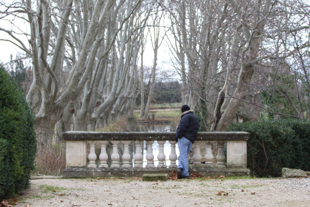 站在森林里的人的后视图图片下载