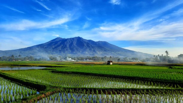 放松农村视图图片下载