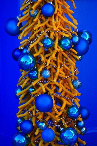 蓝色背景上的蓝色冷杉树图片下载