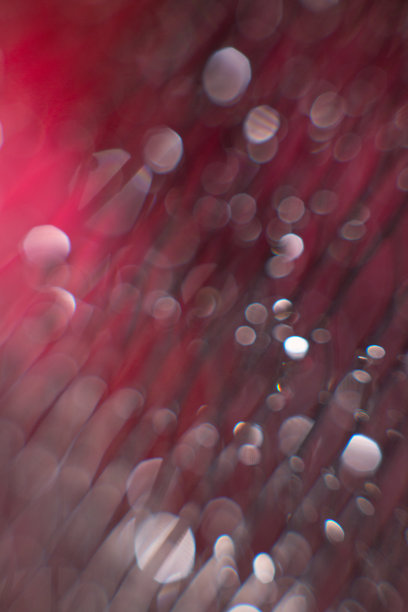 在模糊的红色背景上的一个黑色网格上的水眩光。抽象的背景图片下载