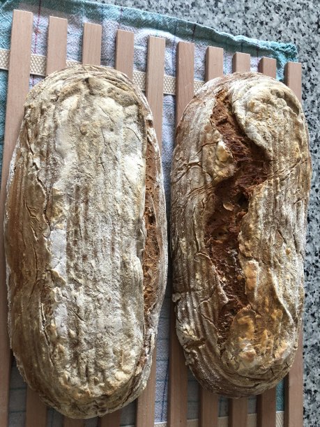 自制的现成面包图片下载