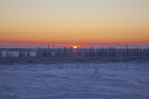 美丽的冬季风景，树上结霜，初雪，调色图片下载