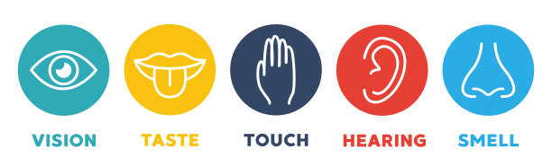 五感向量图标设置。视觉、听觉、触觉、味觉、嗅觉图片下载