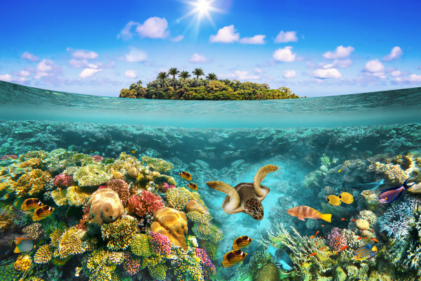 热带海滩和美丽的水下世界图片下载