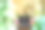 在线课程在笔记本电脑屏幕上，桌子上的植物和咖啡杯在家里的自然花园。技术与教育理念图片下载