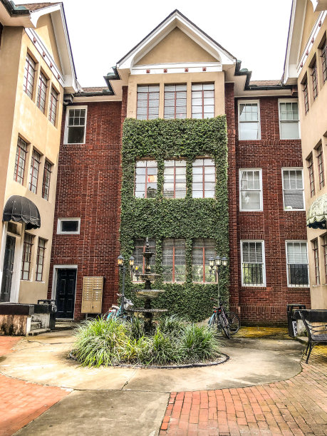 建筑外观上的藤蔓图片下载