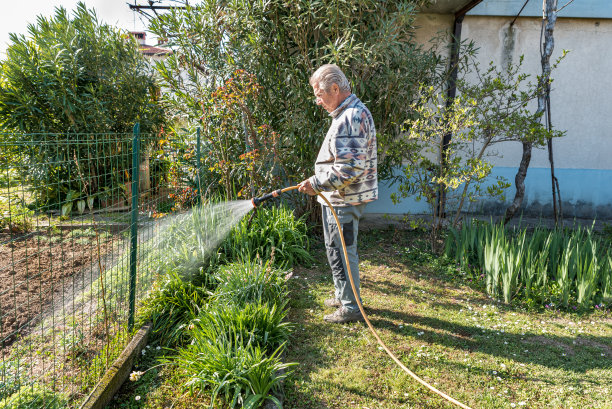 老人在春天用花园水管浇水图片下载