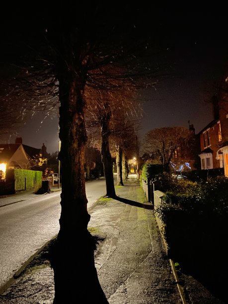 晚上大街上图片下载