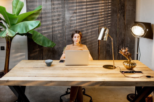 舒适的家庭，办公室和女人工作图片下载