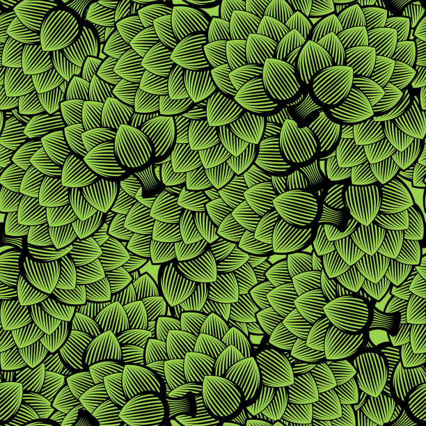 啤酒花啤酒图案无缝。啤酒花种子背景。矢量纹理图片下载