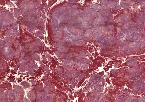 粉色大理石花纹插图。图片下载