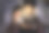 小男孩和他的父亲晚上在床上一起使用电子平板电脑图片下载