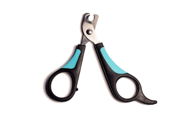 快船队的爪子。孤立在白色的。剪下的猫爪子。图片下载