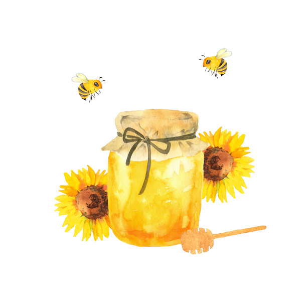 蜂蜜和向日葵图片下载
