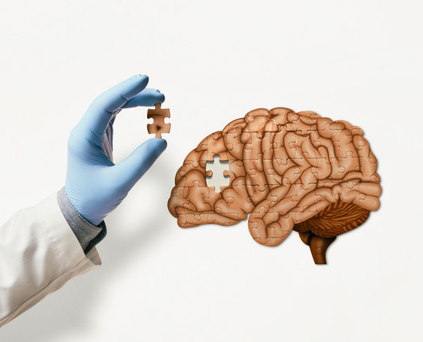 大脑处理的概念。图片下载