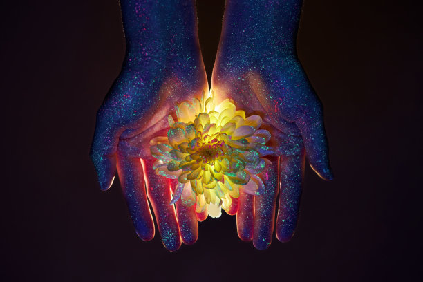 在紫外线下的美丽的女人的手与花在手掌。手部皮肤护理的化妆品图片下载