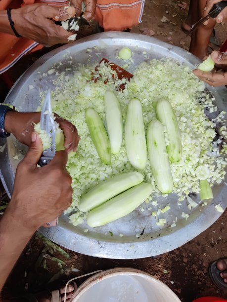 人们在金属盘子上用刀切蔬菜的特写镜头图片下载