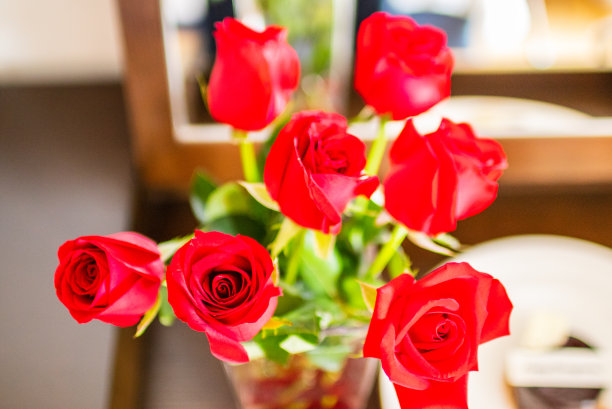 红玫瑰度蜜月图片下载