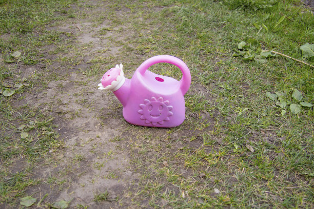儿童的粉色喷壶。洒水壶的一边有阳光。侧身站在草地上图片下载