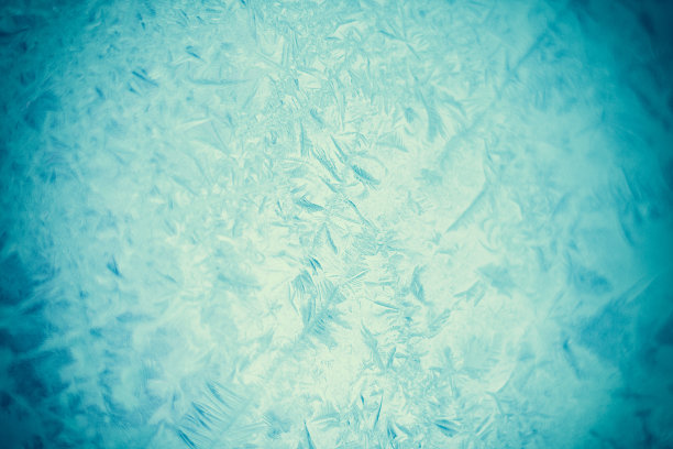 自然的细节图片下载