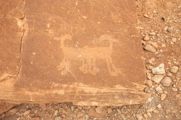 毒蜘蛛岩雕06图片下载