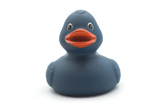 白色背景上的蓝色塑料橡胶鸭子图片下载