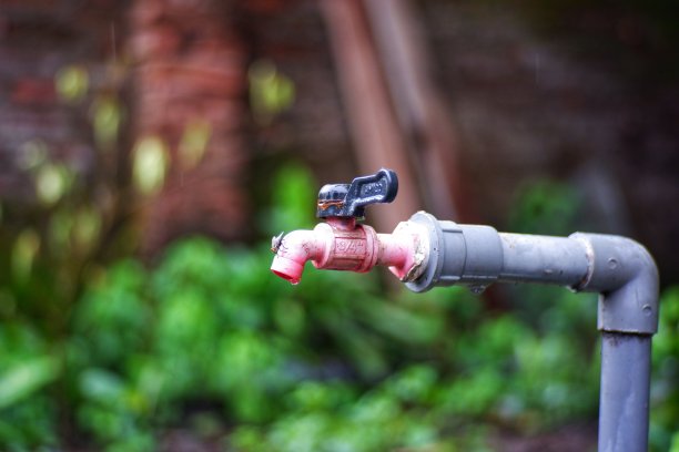 水龙头和果蝇。图片下载