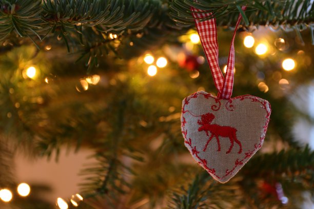 圣诞树图片下载