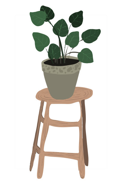 手绘热带室内植物。斯堪的纳维亚风格插画，现代优雅的家居装饰。设计花。图片下载